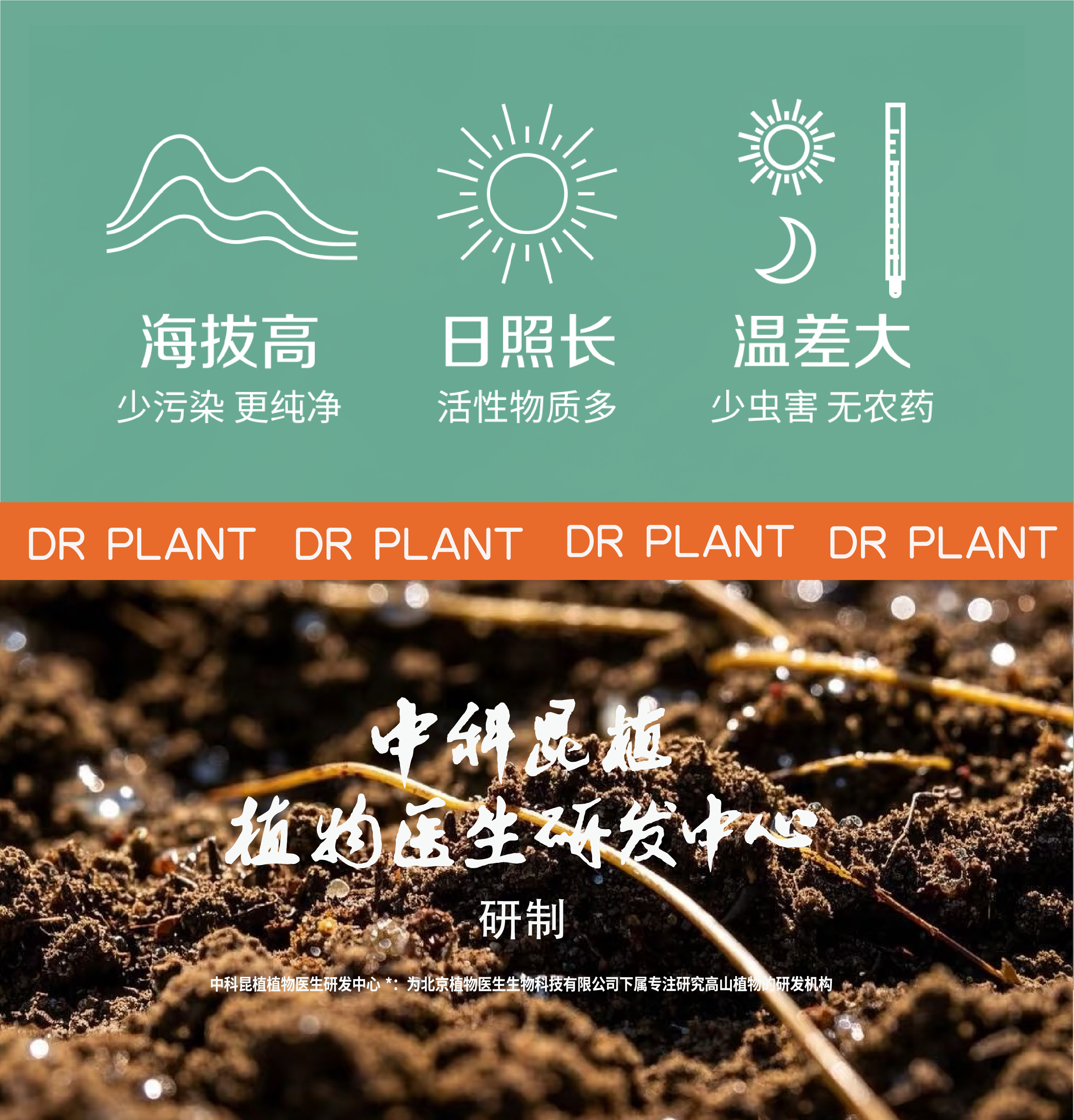 植物医生_画板 1 副本 2.jpg