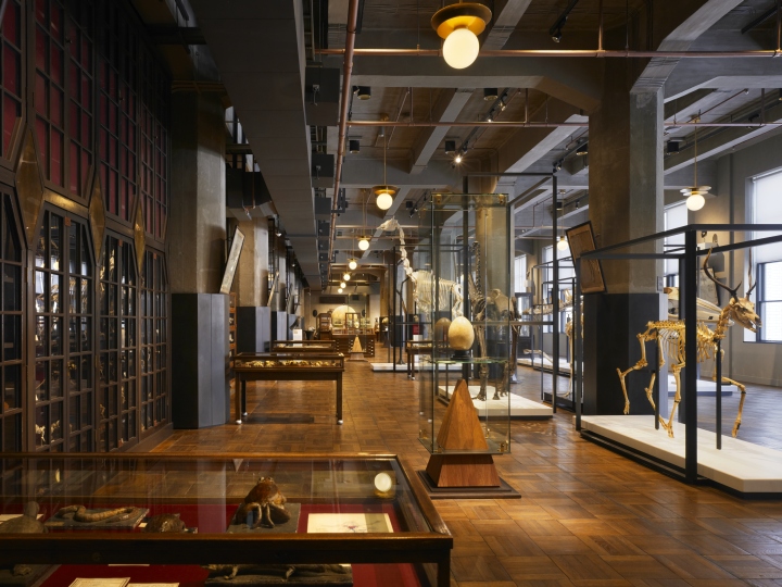 15_JP-Tower-Museum-INTERMEDIATHEQUE-by-The-University-of-Tokyo-TANSEISHA-Co-Tokyo-02.jpg