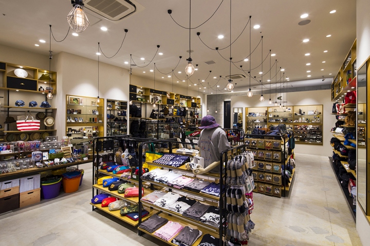 8_Collectors-Store-by-icemoon-Fujimi-City-Japan.jpg