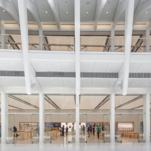 52_Apple-store-by-Bohlin-Cywinski-Jackson-New-York-City-300x300.jpg