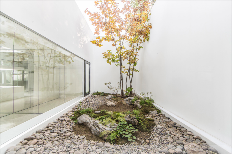 13_Mirror-Garden-store-by-ARCHSTUDIO-06-780x519.png