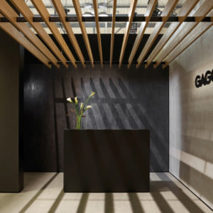 15_Gaggenau-Booth-at-Eurocucina-2018-by-einszu33-Milano-Italy-300x300.jpg