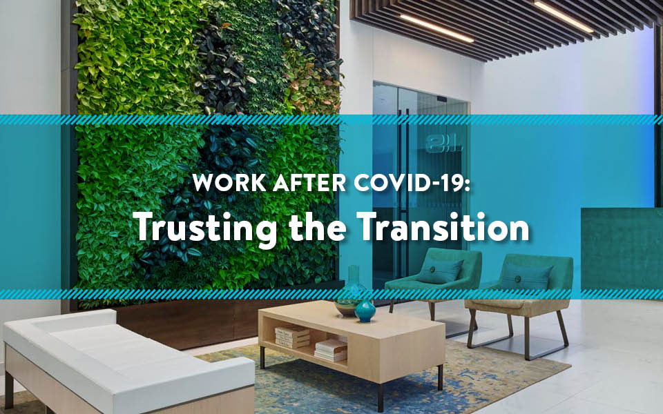 9_Trusting-the-Transition3.jpg