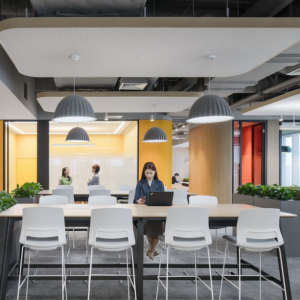 19_Zoetis-Offices-by-iDA-Workplace-01-300x300.png