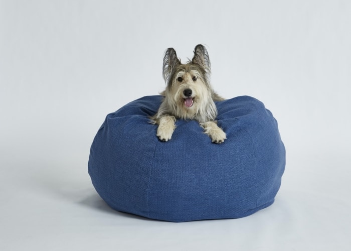 1_bernadette-bean-bag-3-700x500.jpg