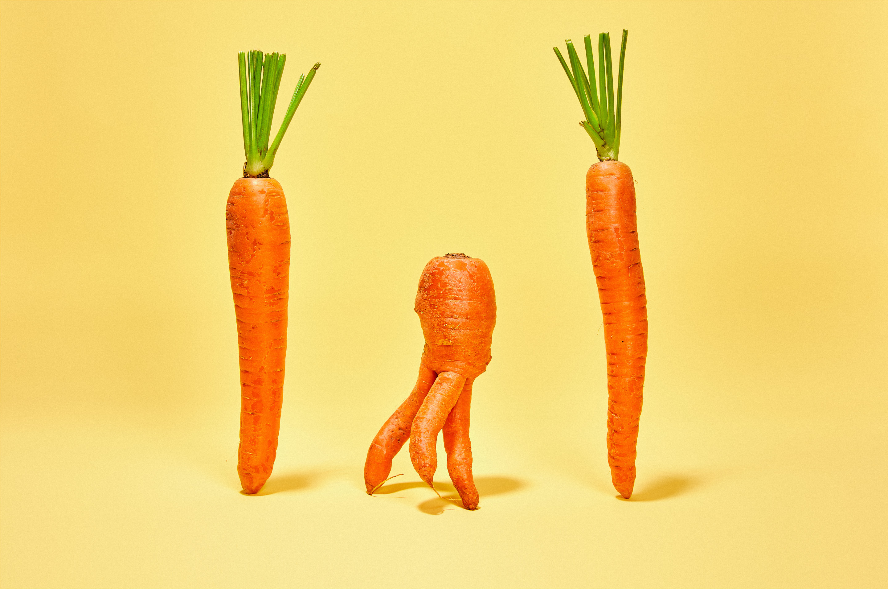 36_misfit-carrots@2x.jpg