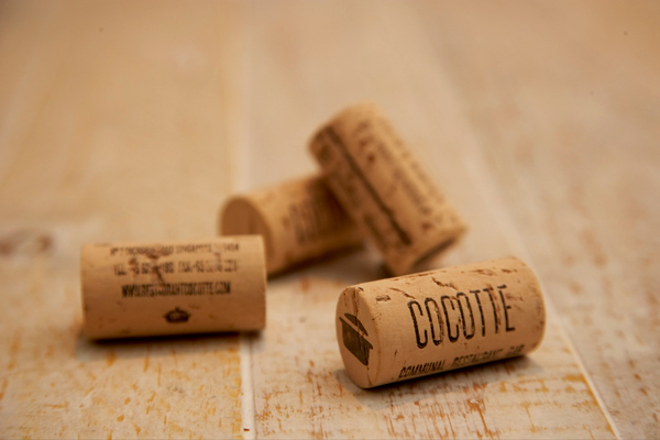 20_fp_cocotte06.jpg