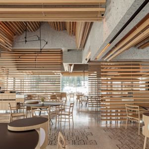 16_Steirereck-am-Pogusch-Restaurant-by-PPAG-architects-01-300x300.png