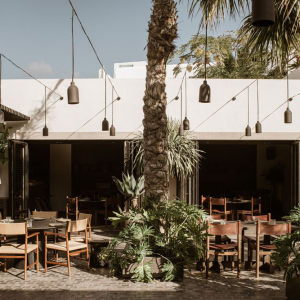 26_NOEMA-Bar-and-Restaurant-by-K-Studio-Lambs-and-Lions-01-300x300.png