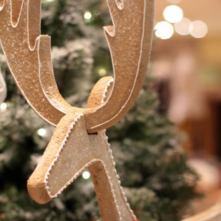 29_Anthropologie-Sugared-Spiced-Holiday-2015-Windows-04.jpg
