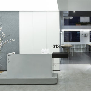 24_LK-RIGI-DESIGN-Office-by-RIGI-DESIGN-Shanghai-China-300x300.jpg