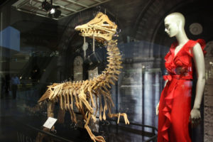 6_Harvey-Nichols-Jurassic-Park-windows-Hong-Kong-300x200.jpg