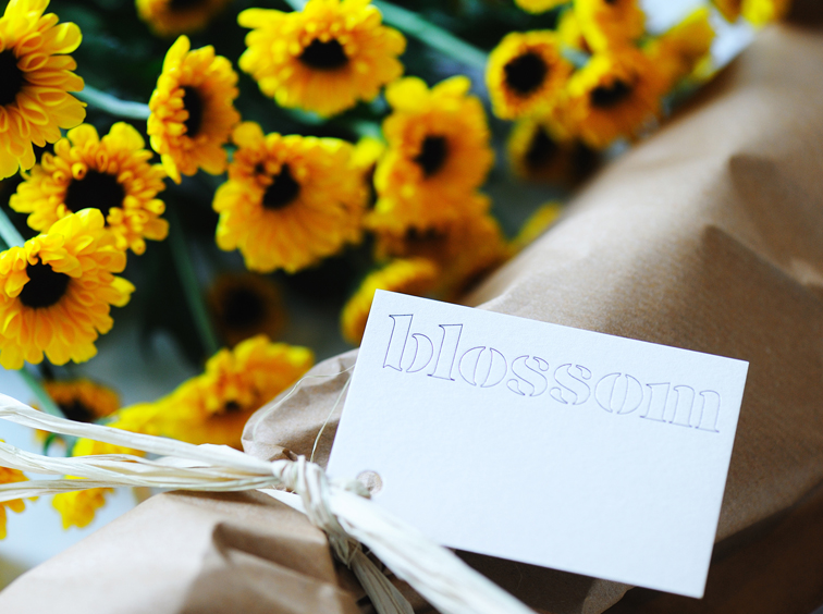 8_blossom-02.jpg