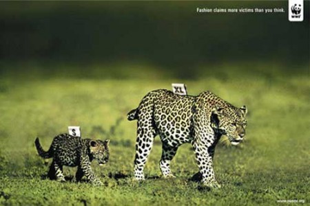 8_wwf_fashion-450x300.jpg