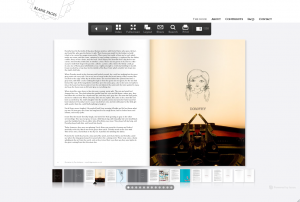 5_Picture-21-300x202.png
