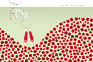 5_Picture-12-300x202.png