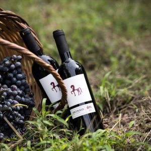 41_Argyrakis-Wine-packaging-by-Dust-Go-Creative-300x300.jpg