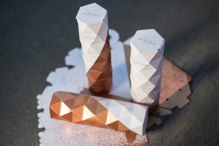 17_Castillo-De-Molina-wine-Origami-Packaging-by-Non03.jpg