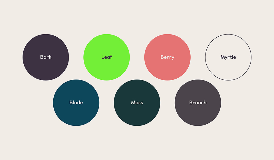 37_koto-gumtree-colour-1.jpg