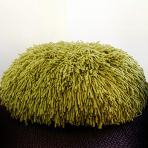 23_Rasta-Pouf-by-Paulo-Haubert-300x300.jpg